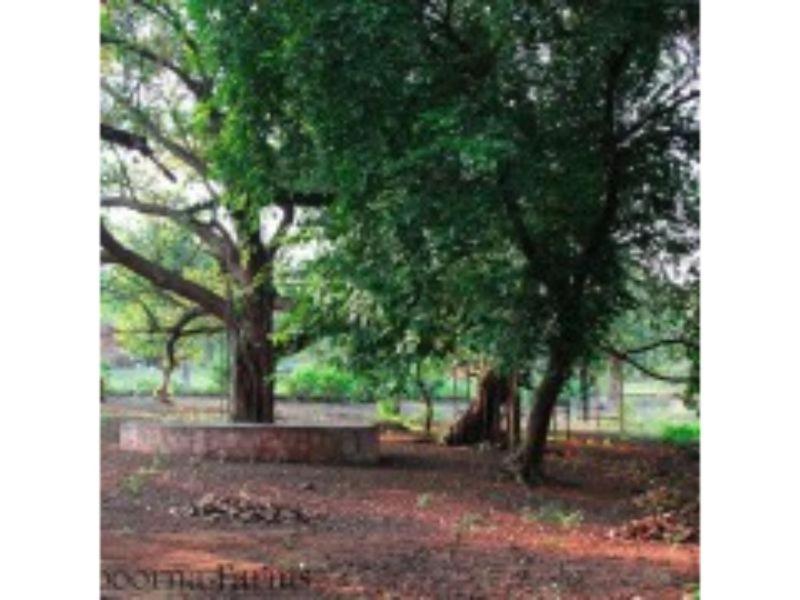 Annapoorna Farms Villa 6Bhk Khopoli Esterno foto